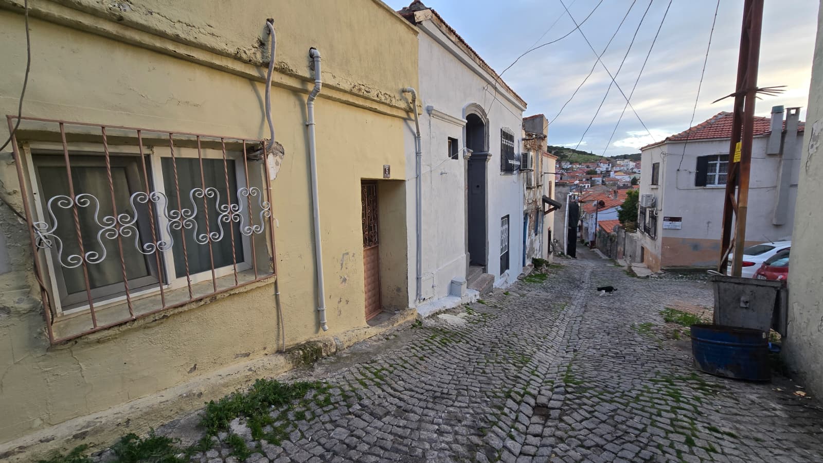 whatsapp image 2026 03 12 at 01.11.11